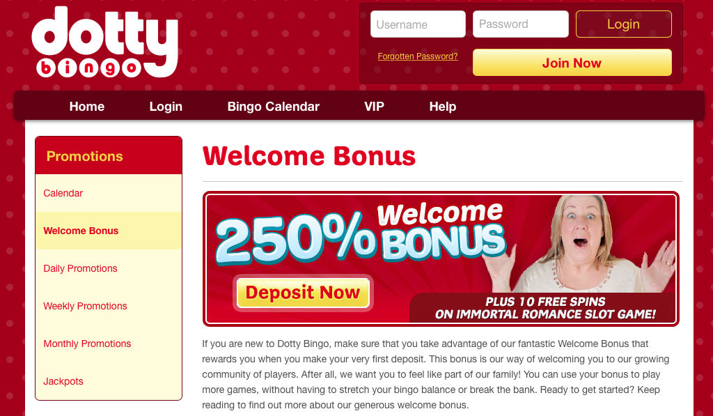 Dotty bingo bonus