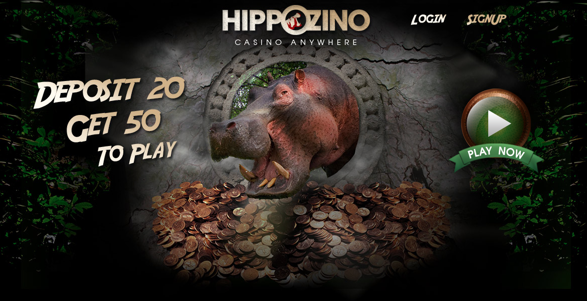 Hippozino homepage cashback